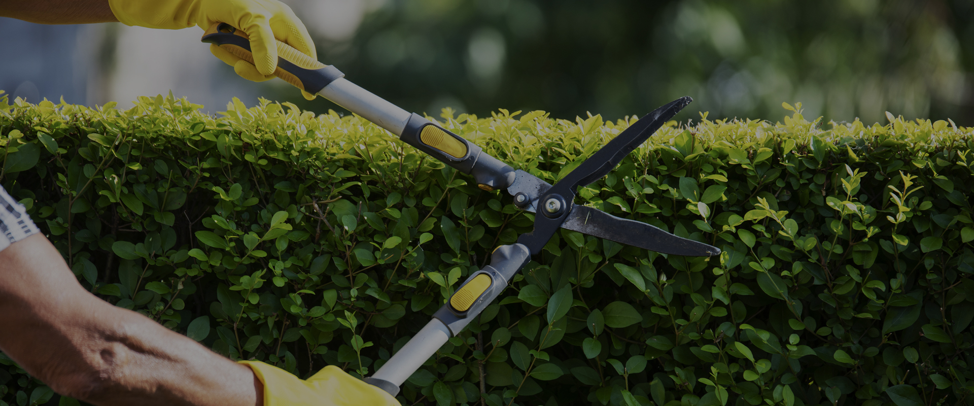 MD Güvenlik Koruma ve Eğitim Hizmetleri, Site yönetim hizmeti, site güvenlik hizmeti, site özel güvenlik, site temizlik, avm güvenlik hizmeti, avm yönetim hizmeti